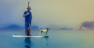 paddle